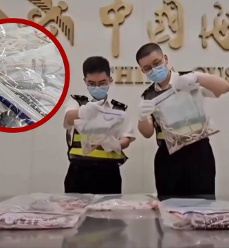 Hombre intenta entrar a China con más de 100 serpientes escondidas en sus pantalones