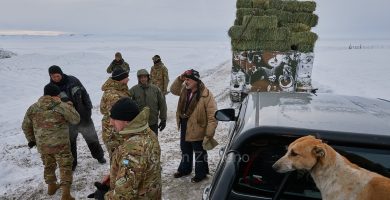 Un hombre y 13 perros rescatados tras un mes varados en la nieve