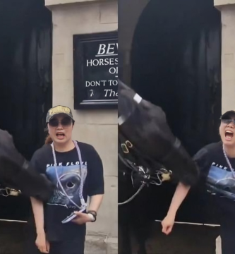Una Turista es mordida por un caballo de la Guardia Real en Londres