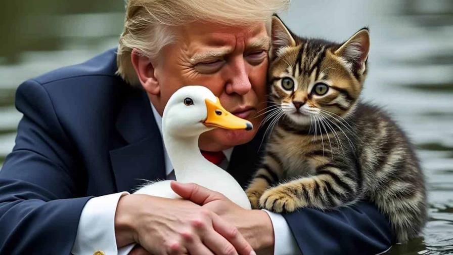 Republicanos difunden falsa acusación de que migrantes haitianos roban y comen gatos