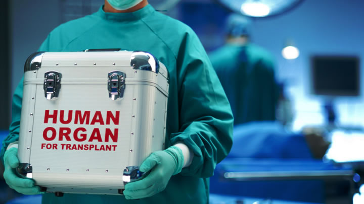 Pacientes trasplantados reciben órganos infectados con VIH por error de laboratorio en Brasil
