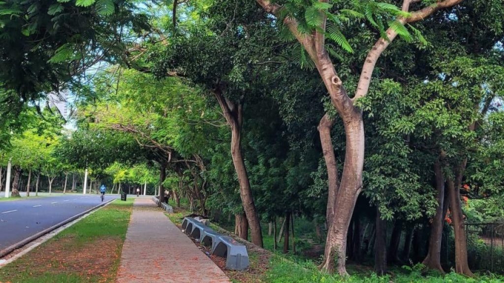 Coronel de la Fuerza Aérea muere mientras hacía ejercicios en el Parque Mirador Sur